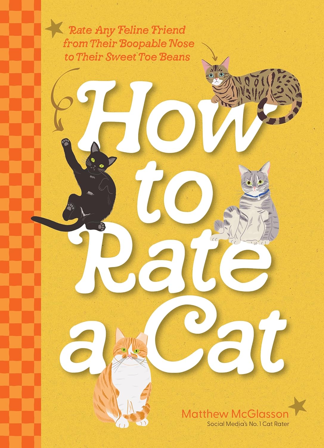 HOW TO RATE A CAT
