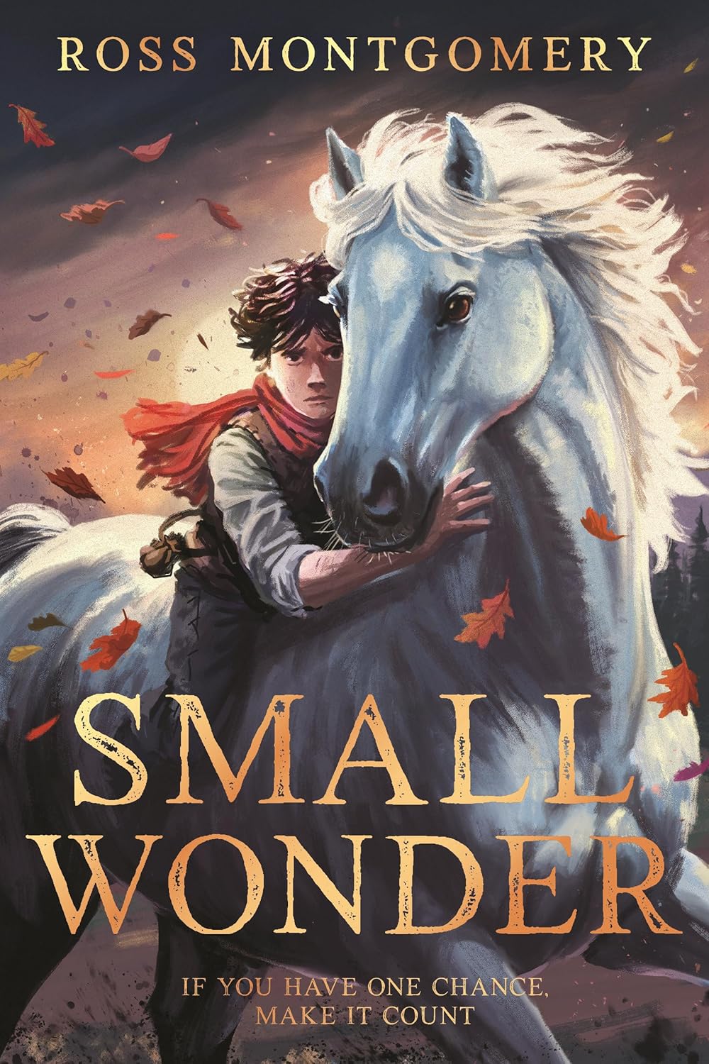 SMALL WONDER