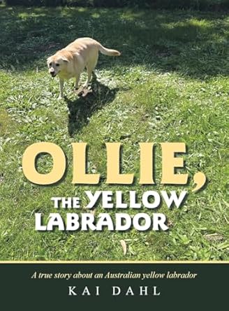 OLLIE, THE YELLOW LABRADOR