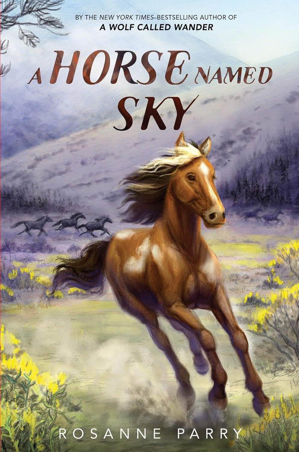 HORSE NAMED SKY, A