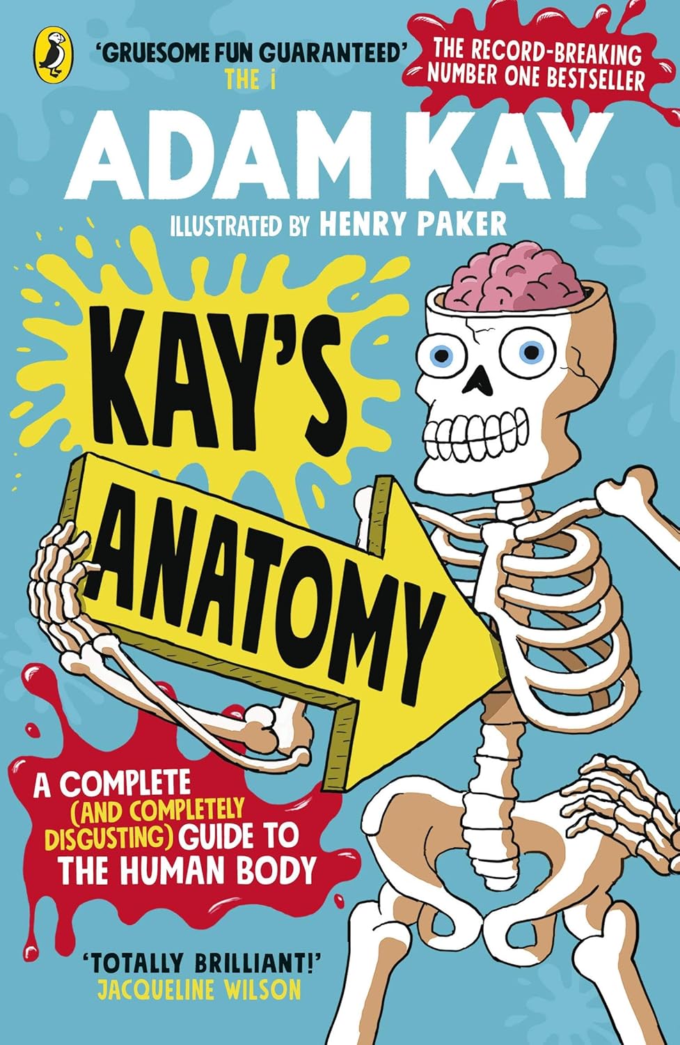 KAY'S ANATOMY