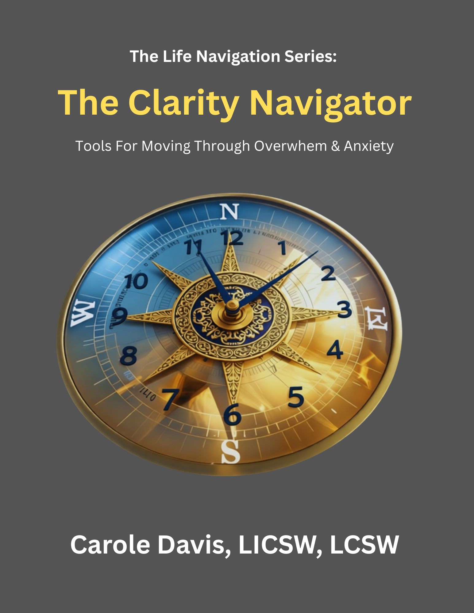THE CLARITY NAVIGATOR 
